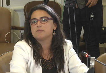 Investigadora Monserrat Madariaga expone en Comisión de Medio Ambiente del Senado - Foto 1