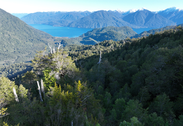 San Ignacio del Huinay investiga ecosistemas de la Patagonia Norte frente al cambio climático