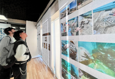 Inauguran exposición “Manto transitorio para el repoblamiento de macroalgas en la costa central de Chile”
