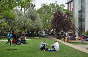 Plan Común Interpretación y Traducción Inglés-Español