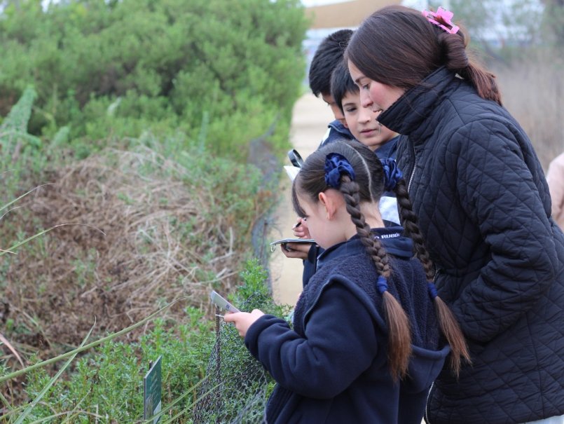 Estudiantes de Pedagogía desarrollan experiencia de educación ambiental con escolares del Colegio Rubén Castro