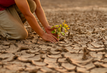 Cierre del proyecto Pluriversos Climáticos en la PUCV