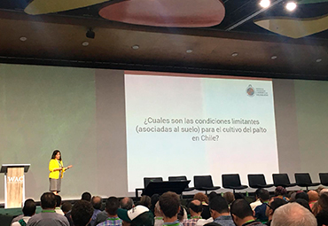 Académicos y ex alumnos de la Escuela de Agronomía participan en World Avocado Congress 2019 (WAC)