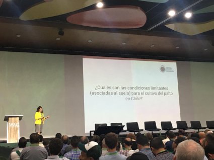 Académicos y ex alumnos de la Escuela de Agronomía participan en World Avocado Congress 2019 (WAC)