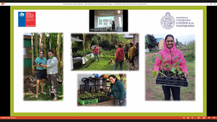 Escuela de Agronomía se une al Día de la Salud entregando plantas nativas medicinales propagadas in vitro a la comunidad de Rapa Nui