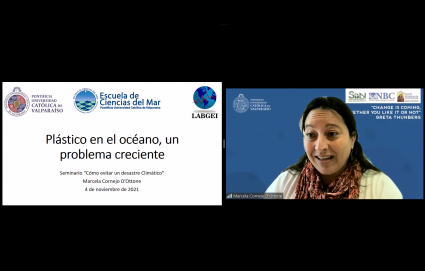 Académicos PUCV plantean salidas al cambio climático en webinar interdisciplinar