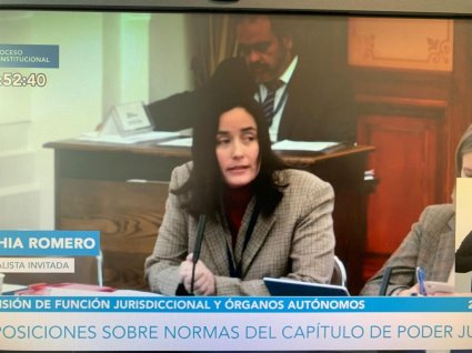Profesora Sophía Romero expone ante Subcomisión Función Jurisdiccional y Órganos Autónomos del Consejo Constitucional