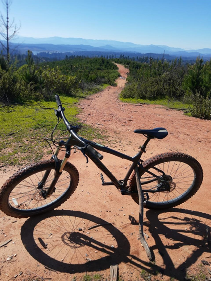 Mountainbike un espacio para conectarse con la naturaleza y desconectarse de la ciudad