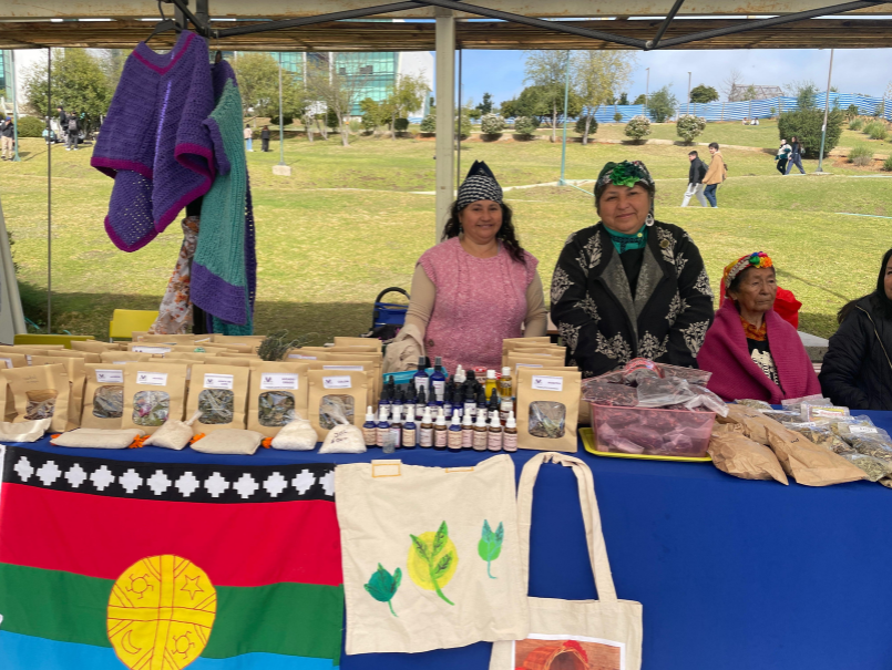 Artesanas de pueblo mapuche posan detrás de stand con productos artesanales.