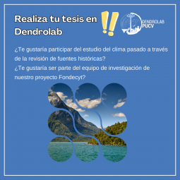 ¡Realiza tu tesis en Dendrolab PUCV!