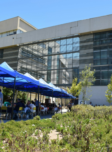 Facultad celebra Almuerzo de Camaradería en Campus Curauma