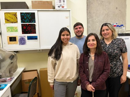 Ayen: Gel dental desarrollado en la PUCV llega al mercado de la mano de la empresa Santepharma