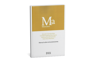 Académicos de Derecho PUCV publican "Manual sobre remuneraciones"