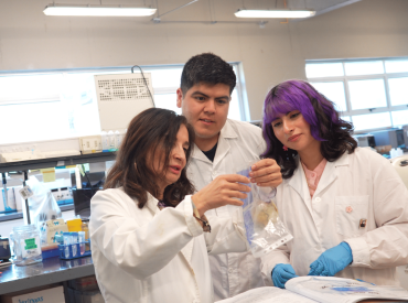 PUCV desarrolla tratamiento de triple acción contra la dermatitis atópica