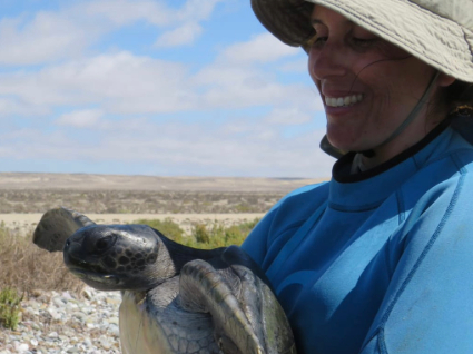 Profesoras y postdoctorados de la Facultad se adjudican proyectos FONDECYT 2026