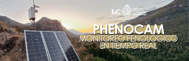 PHENOCAM BANNER
