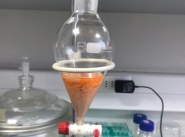 Biotecnología de vanguardia: Investigación PUCV transforma residuos de salmón en ingredientes de alto valor industrial