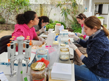 Académica PUCV busca fortalecer la salud de los moluscos marinos frente a la crisis climática