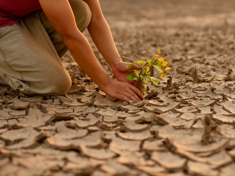 Cierre del proyecto Pluriversos Climáticos en la PUCV